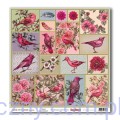 Zestaw papierów do scrapbookingu ScrapBerrys - Birds of Paradise - 30x30сm