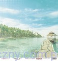 Papier do Scrapbookingu, Tropics Pineapple, 30x30сm
