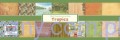 Zestaw papierów do scrapbookingu Orientalne TROPICS  -7ark - 30x30cm