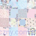 Zestaw papierów do scrapbookingu - Ever Dream - 15x15cm - 28ark