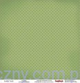 Papier do Scrapbookingu, Wróżki Elfy, Fairy Tale, Story of Magic 30x30сm SCB220604709