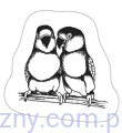 Stempel Akrylowy, Parrots, Papużki Nierozłączki