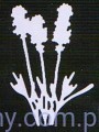 Wykrojnik Joy! Crafts - Vintage Flourishes - Trawa, Pałki Wodne 6003/0031