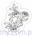 Stempel Akrylowy, Chinese Flowers, Chińskie Kwiaty