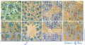 Papiery do Scrapbookingu 15x15cm, Flowers in blue 24 ark