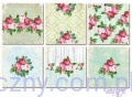 Papiery do Scrapbookingu 20x20cm, Shabby Chic, 6 ark