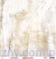 MT-WTL-09 Papier Mintay z elementami - Winterland 09, 30x30cm