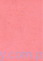 Papiery Ozdobne Aurelie A4 - Botanical Garden Paper Pack AUPP1001