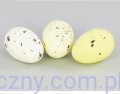Jajka przepiórcze, nakrapiane - Białe Żółte Kremowe - 24szt