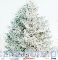Papier Dwustronny Mintay 30x30cm - Winterland 05 MT-WTL-05