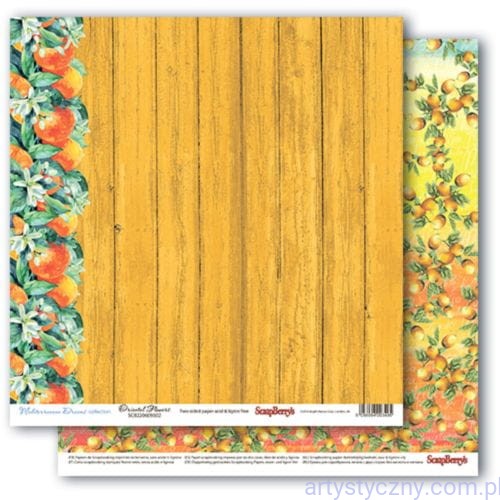 Papier do Scrapbookingu 30x30сm - Śródziemnomorskie Marzenia 02 SCB220609502