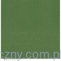 Papier P13 Cosy Winter - Red and Green 30x30cm - dodatki do wycinania P13-MIS-17-1