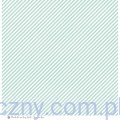 Papier P13 Cosy Winter - Sugar and Spice 30x30cm - dodatki do wycinania P13-MIS-16-2