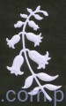 Wykrojnik WRS - Bluebell - Dzwoneczki Dziki Hiacynt - SD001