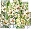 Zestaw papierów Mini do Scrapbookingu M102 - Lilly Lilie - 24ark