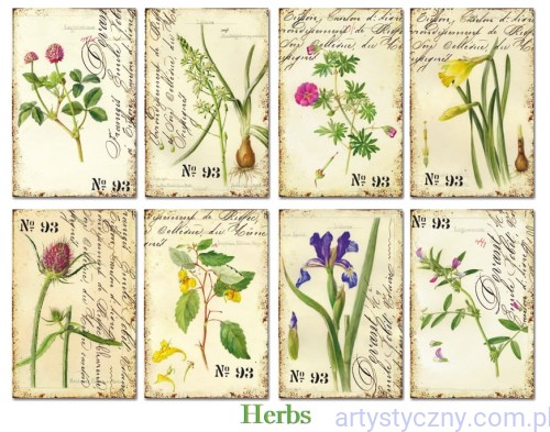 Zestaw papierów Mini do Scrapbookingu M110 - Zioła Herbs - 24ark