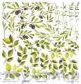 Leaves 06 - Liście listki do wycięcia 30x30cm - Lexi Design LX-21-K43-06