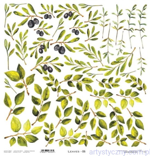 Leaves 06 - Liście listki do wycięcia 30x30cm - Lexi Design LX-21-K43-06