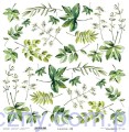 Leaves 09 - Liście listki do wycięcia 30x30cm - Lexi Design LX-21-K43-09