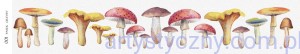 Pasek papieru - grzyby grzybki do wycięcia - Paper Heaven