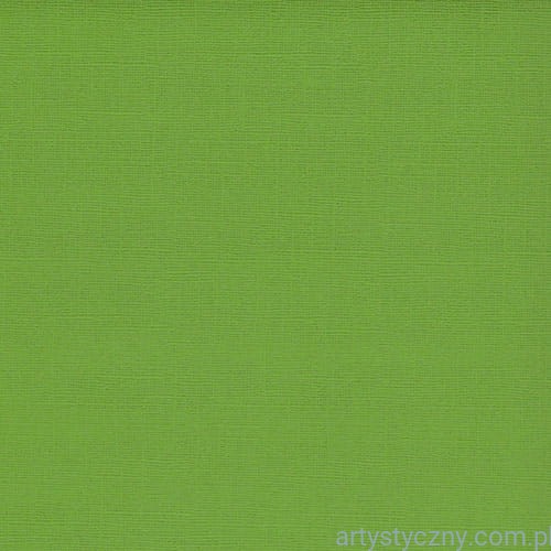 SCB172073 Baza do Kartek - Zielony Papier Tkanina Lniana 30x30cm - 230g - Fern