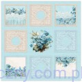 LEM-DD-FORGET-01_BONUS2.jpg