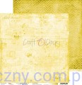 CC-ZD-BC08_2.jpg