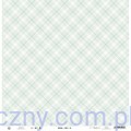 Papier do scrapbookingu P13 30x30cm pastelowa krata - Around the Table 04