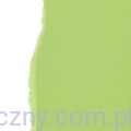 Baza do Kartek - Zielony pistacjowy papier fakturowany 30x30cm - 216g Pistachio SCB172063