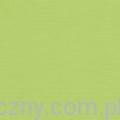 Baza do Kartek - Zielony pistacjowy papier fakturowany 30x30cm - 216g Pistachio SCB172063