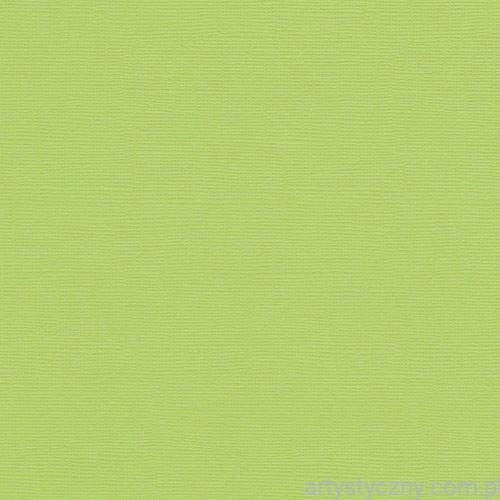 Baza do Kartek - Zielony pistacjowy papier fakturowany 30x30cm - 216g Pistachio SCB172063