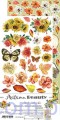 CC-C58-AB-11 Autumn Beauty - 6ark - Zestaw dodatków do wycinania - Craft o'Clock - Kwiaty Listki