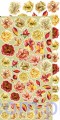 CC-C58-AB-11 Autumn Beauty - 6ark - Zestaw dodatków do wycinania - Craft o'Clock - Kwiaty Listki