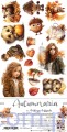 CC-F33-AA-12 Dodatki do wycinania – Autumn – Autumnaria -  10ark - Craft o'Clock