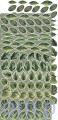 CC-CEX-07_02.jpg
