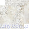 CC-C82-LLY-08_01.jpg