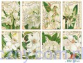 papiery-do-scrapbookingu-zesta_1305.jpg