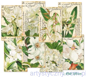 Papier do scrapbookingu Mini M120 - White Flower - Białe Kwiaty 