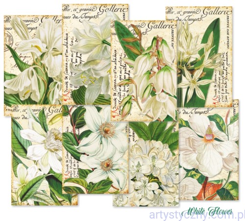 Papier do scrapbookingu Mini M120 - White Flower - Białe Kwiaty