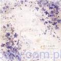 CC-F39-HWS-07_08.jpg