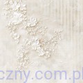 CC-C83-BGU-08_08.jpg