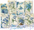 papiery-do-scrapbookingu-zesta_1426.jpg