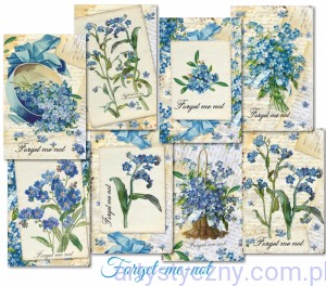 Zestaw papierów Mini do scrapbookingu M145 - Niezapominajki Forget me not