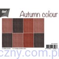Zestaw papierów do scrapbookingu Joy! Crafts - Autumn Colour - 12xA4 - 6011/0506