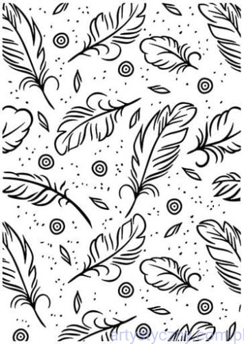 Folder Nellie - Feathers - Piórka 12,7x17,8cm  HSF015