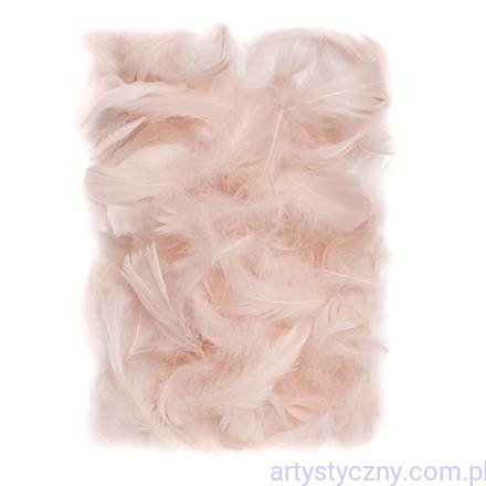 Piórka Gęsie - 5-12cm - 10 gram - NUDE