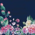 garden.jpg