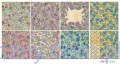 Zestaw papierów do scrapbookingu - Colorful Spring - 15x15cm